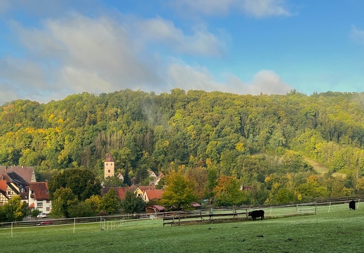 22-10-03 09-25-20 2176